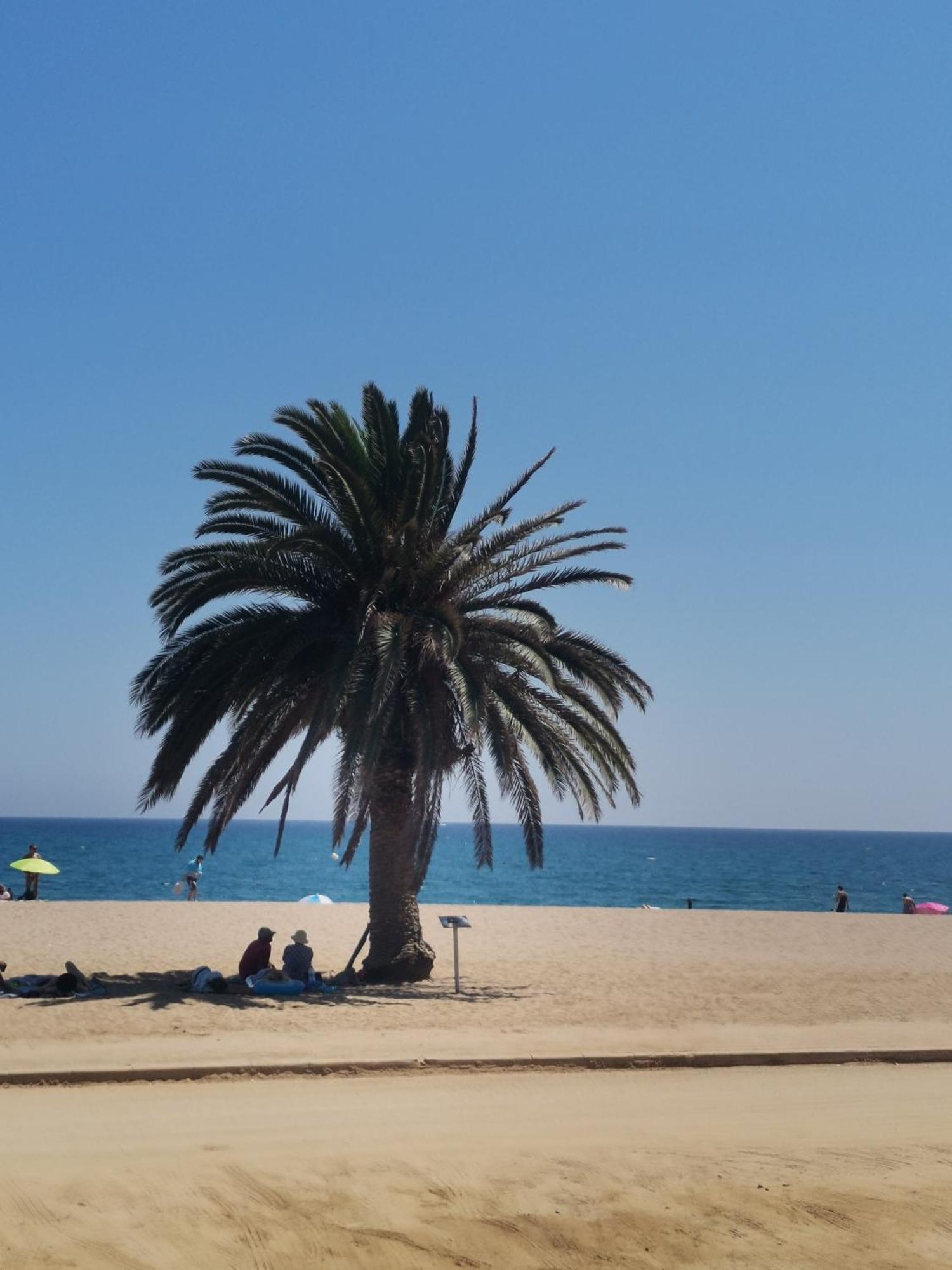 Apartamento Centrico En Calella Exterior foto